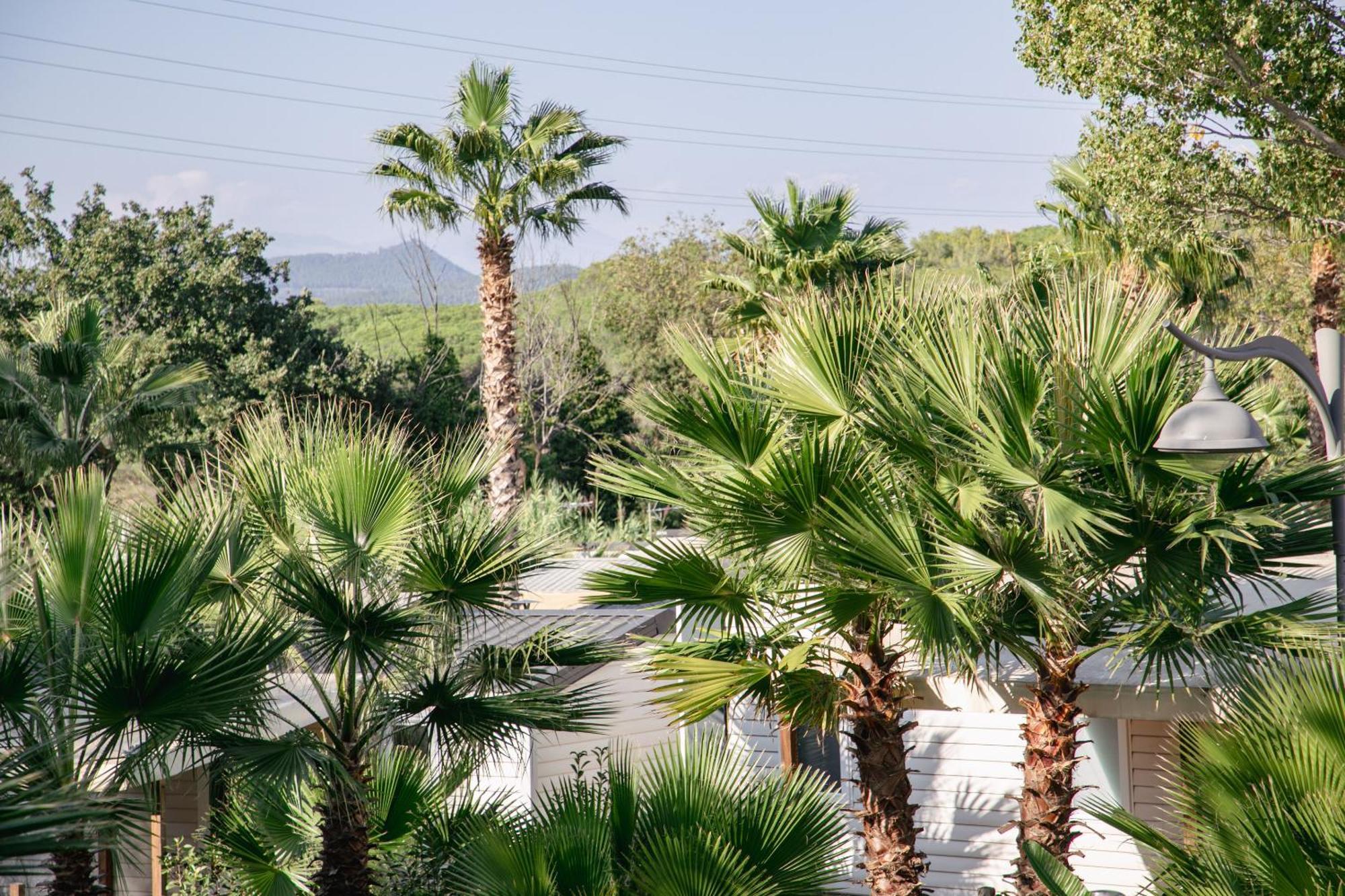 Camping Site De Gorge Vent Frejus Exterior photo